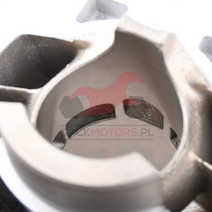 DSC_0946-watermarked
