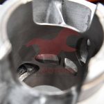 201837462_1602029539987742_8484170576699106606_n