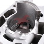 310301712_1960532464137446_1358437629338807328_n